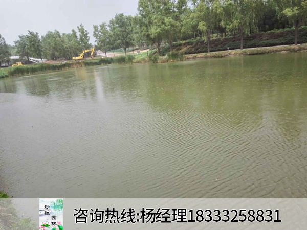 北京某學院工湖藍藻泛濫治理后